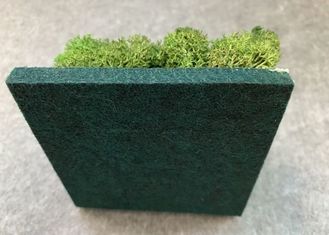 Painéis acústicos decorativos de planta verde que fazem isolamento sonoro fácil de pouco peso espanar